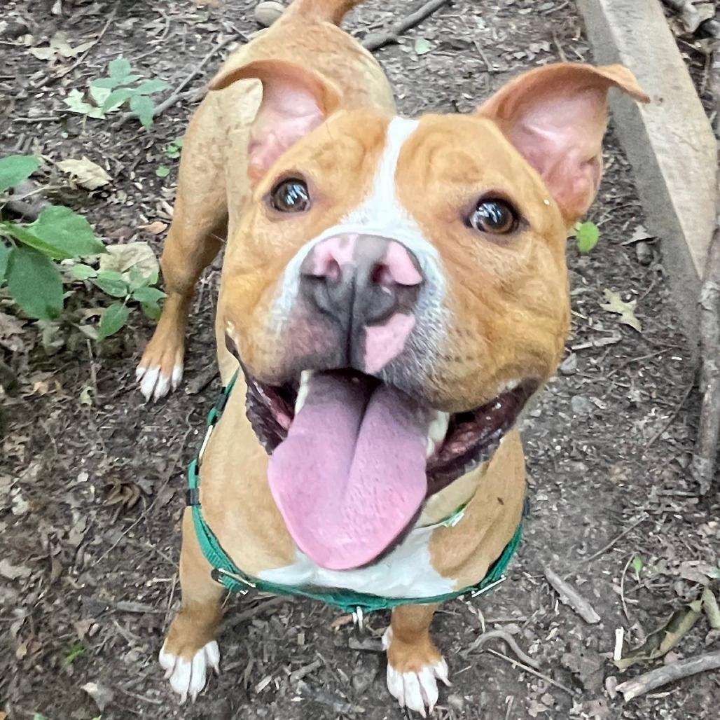 Milo