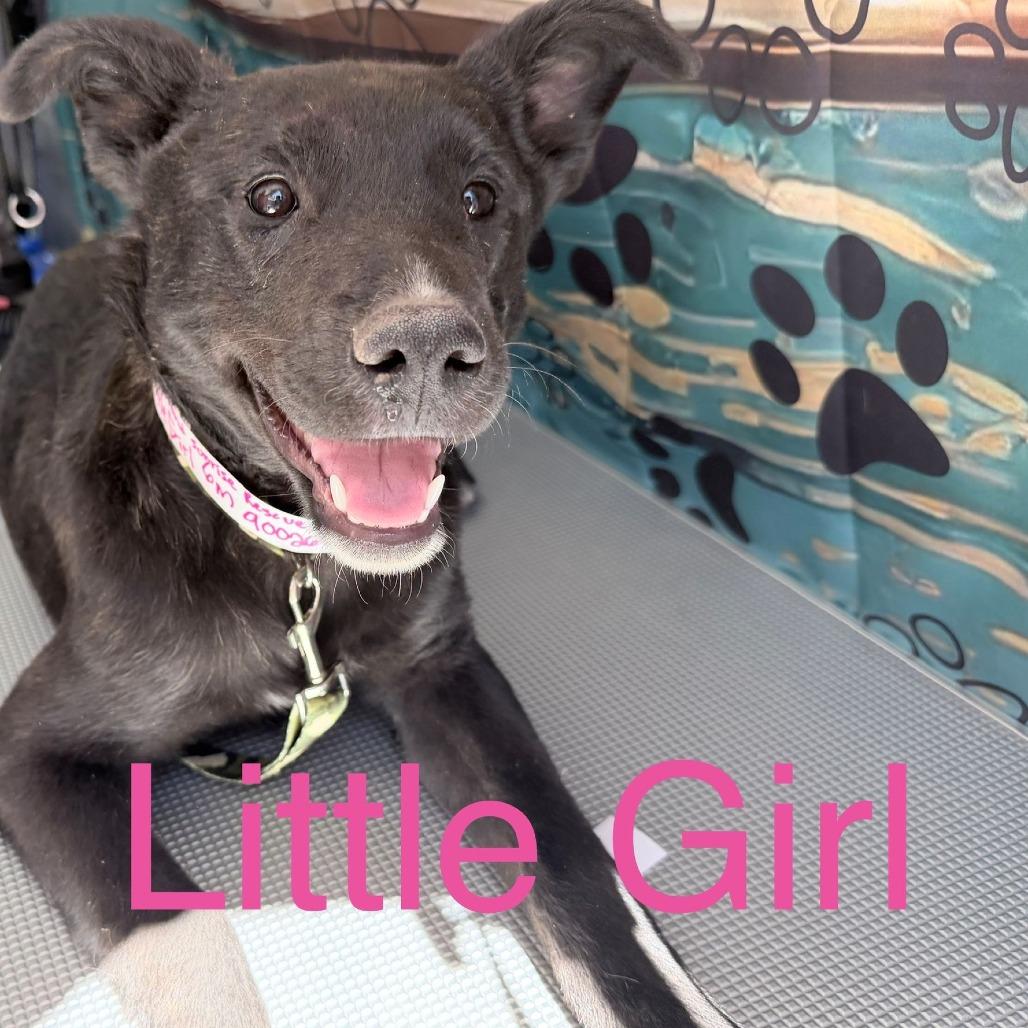 Little Girl/Penelope