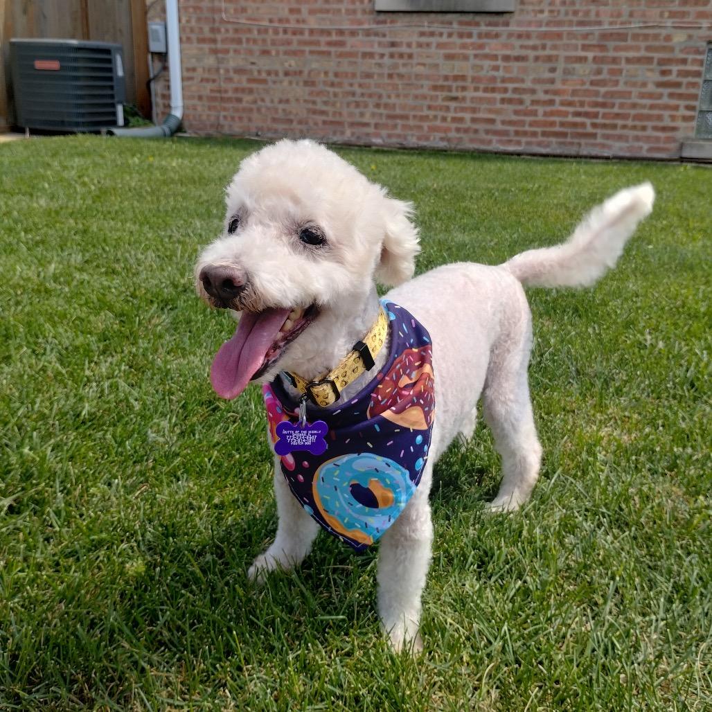 Seymour