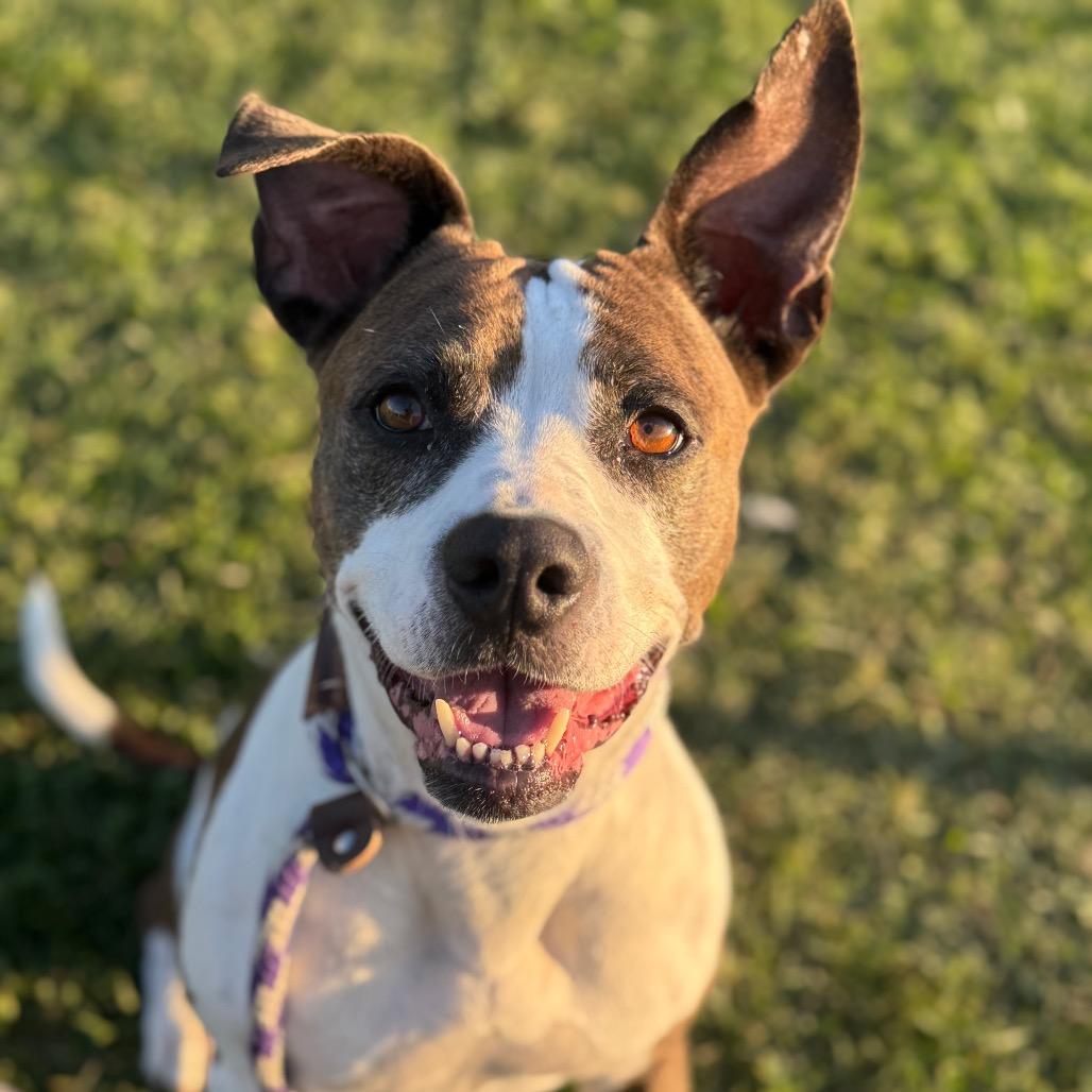 Maggie