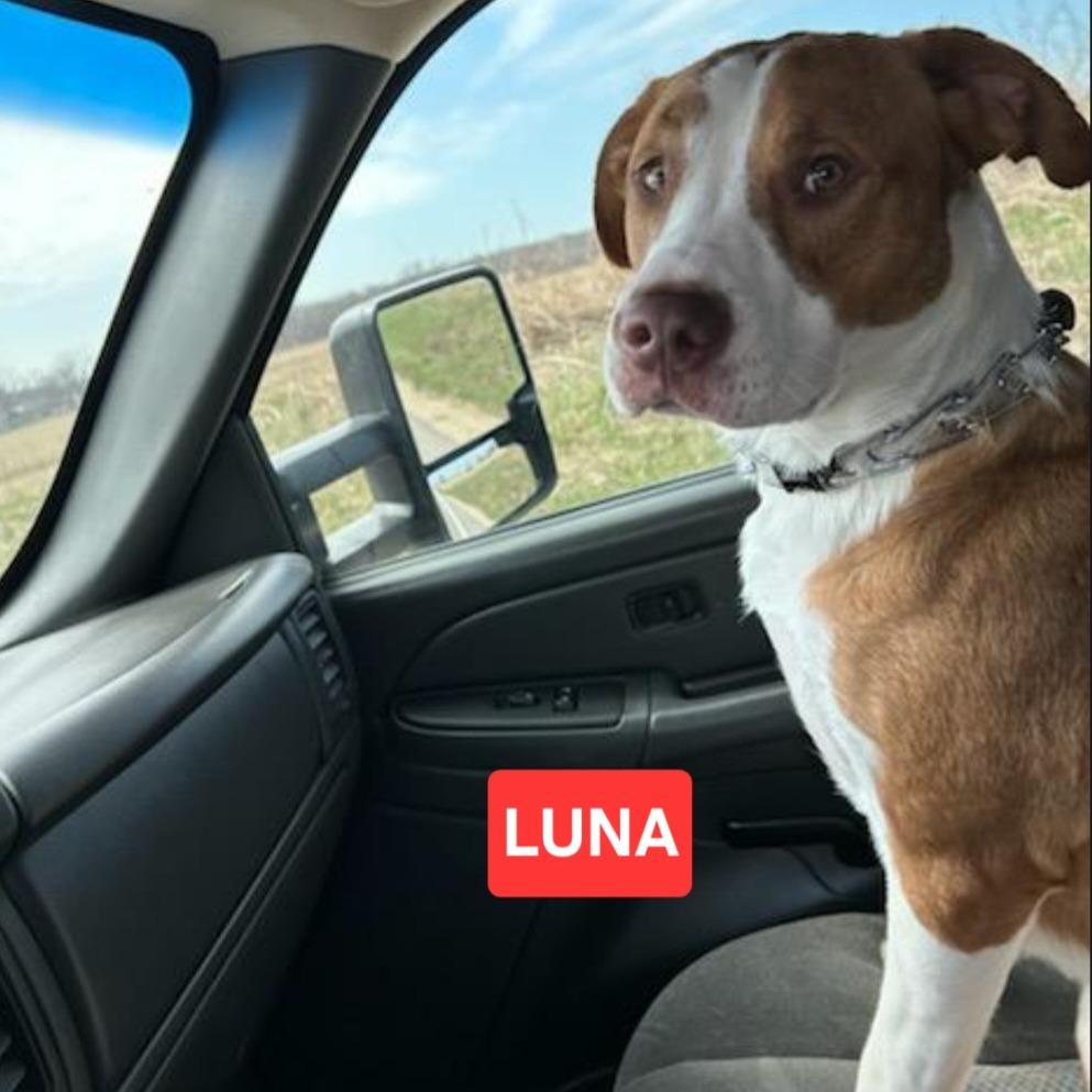 Luna