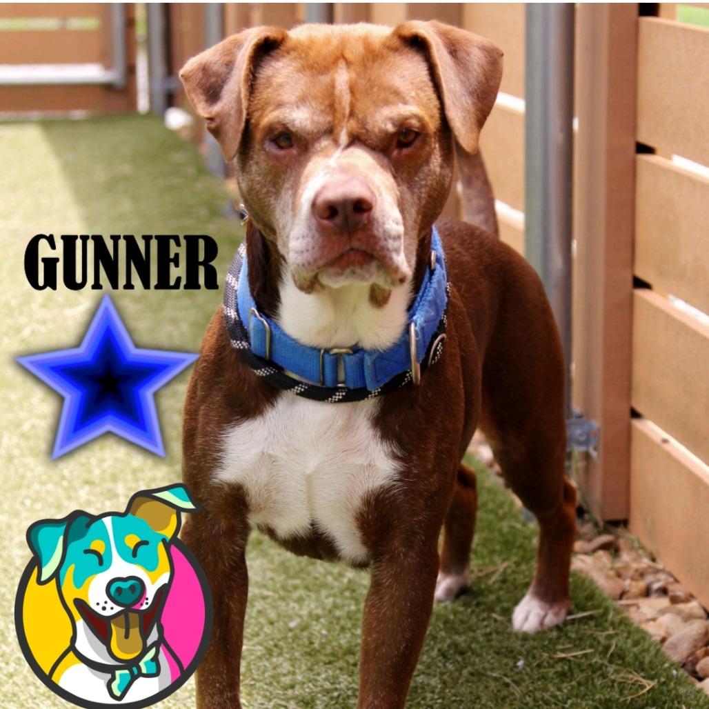 Gunner