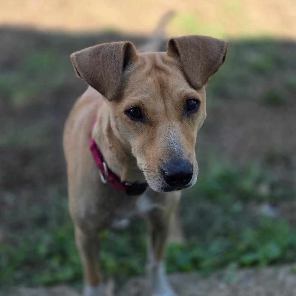 Bailey