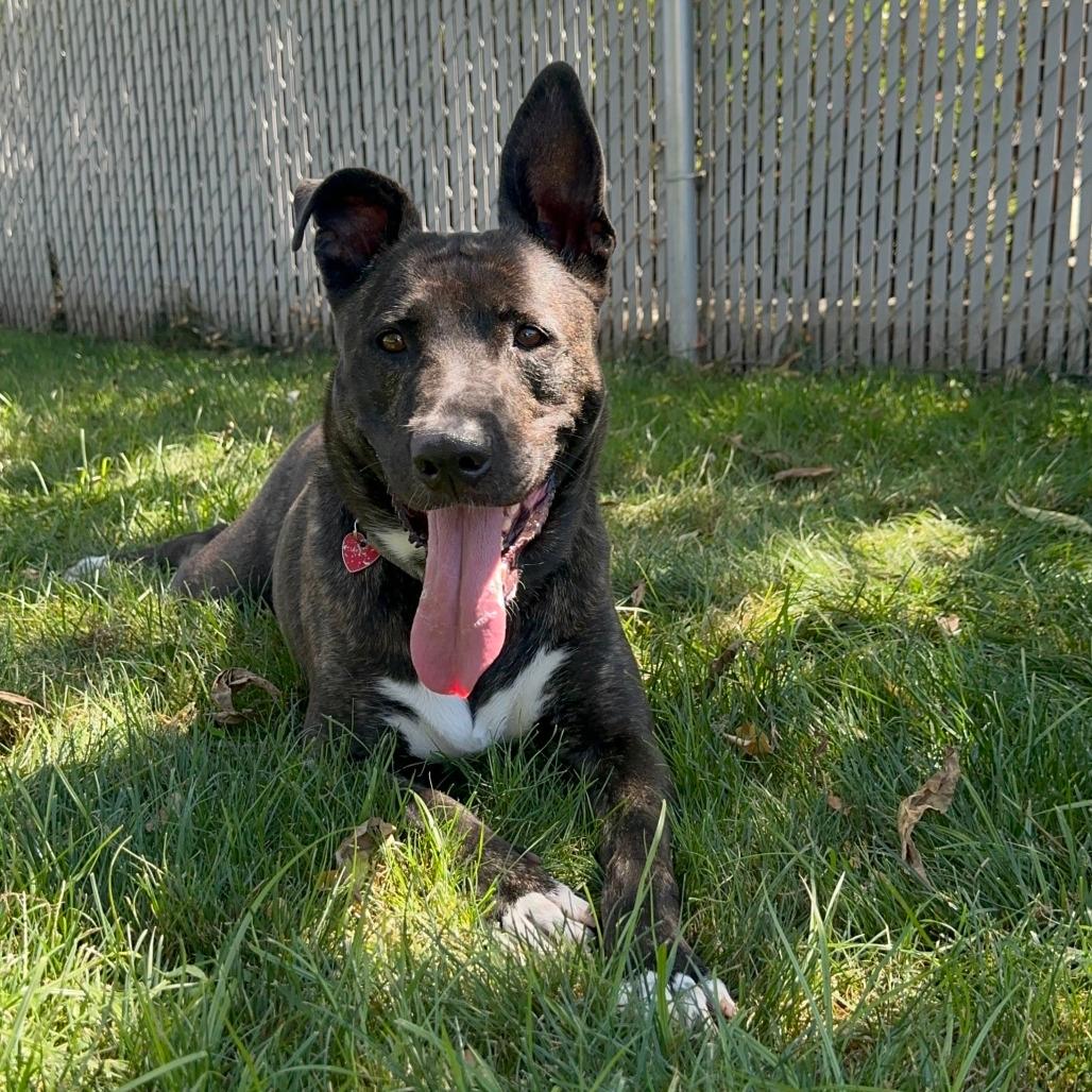Luna