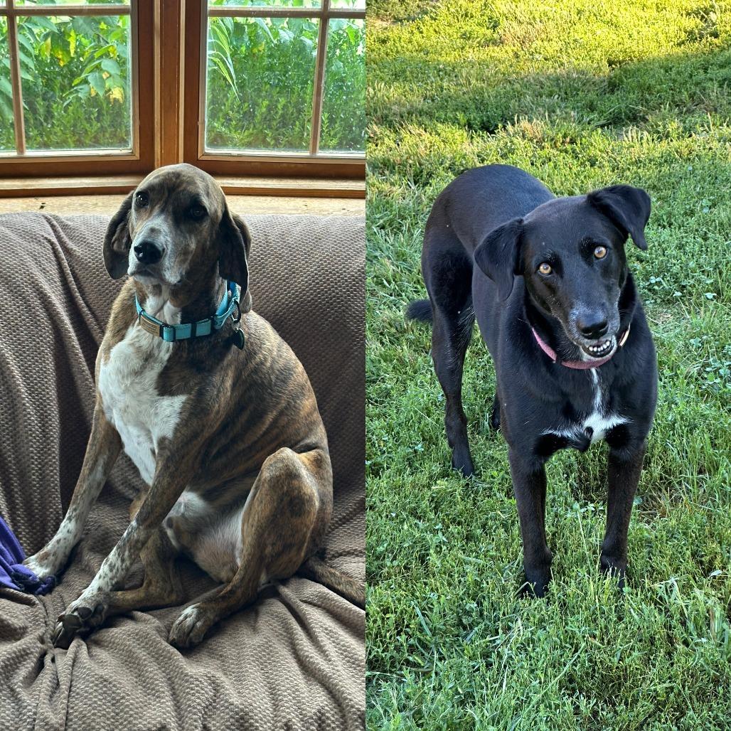 Cooper-Piper