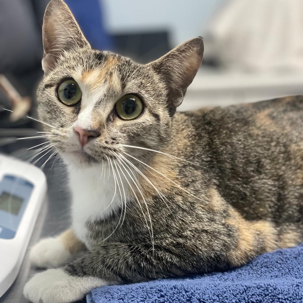 Kiki