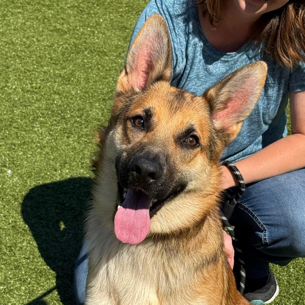 Mowgli