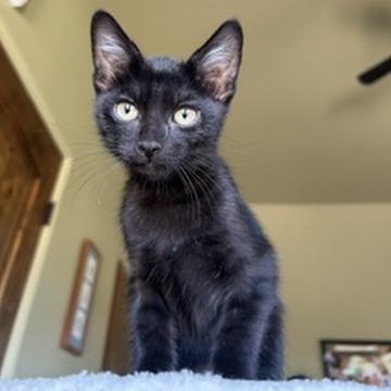 Smolder
