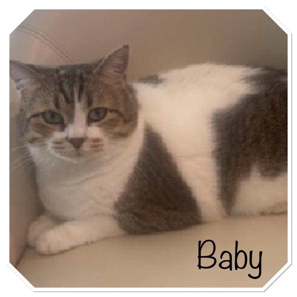 Baby