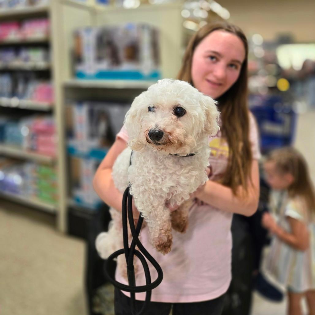 Lulu bonded to Penny