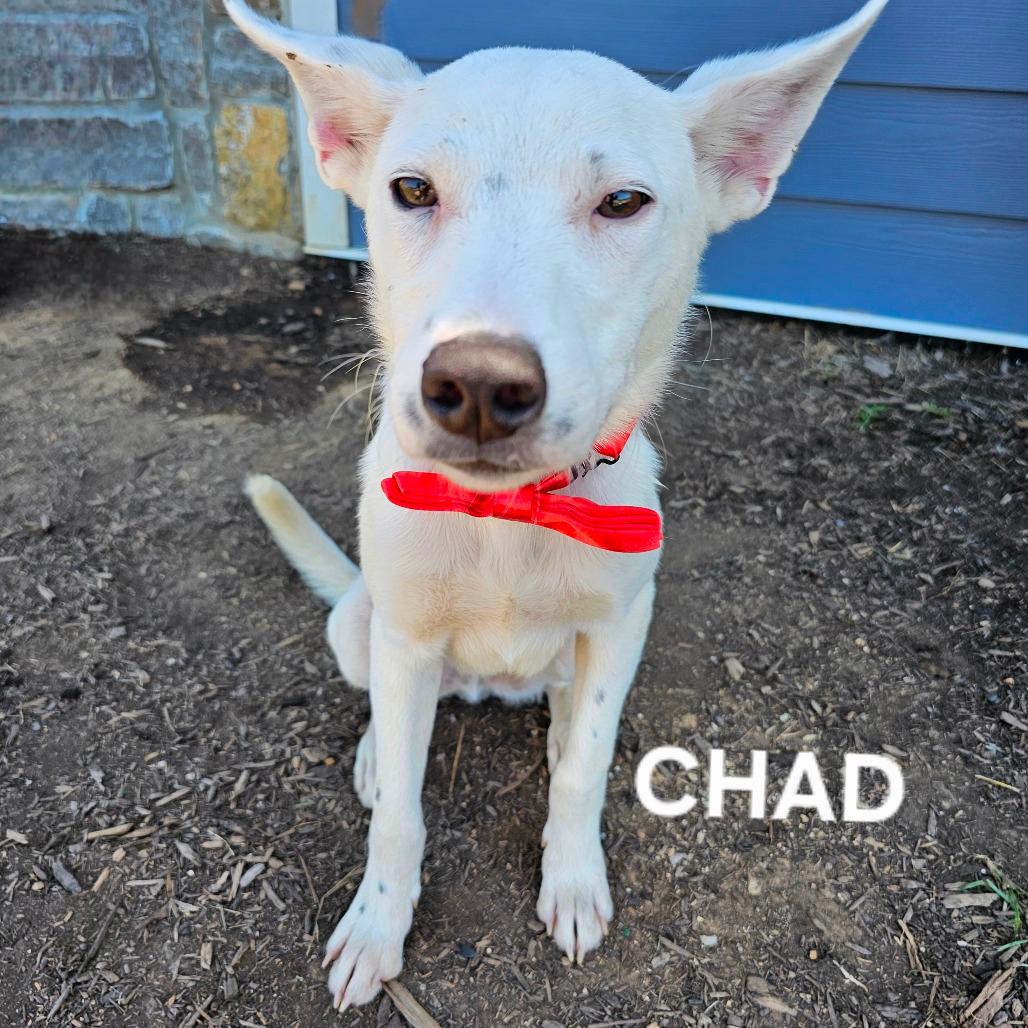 Chad
