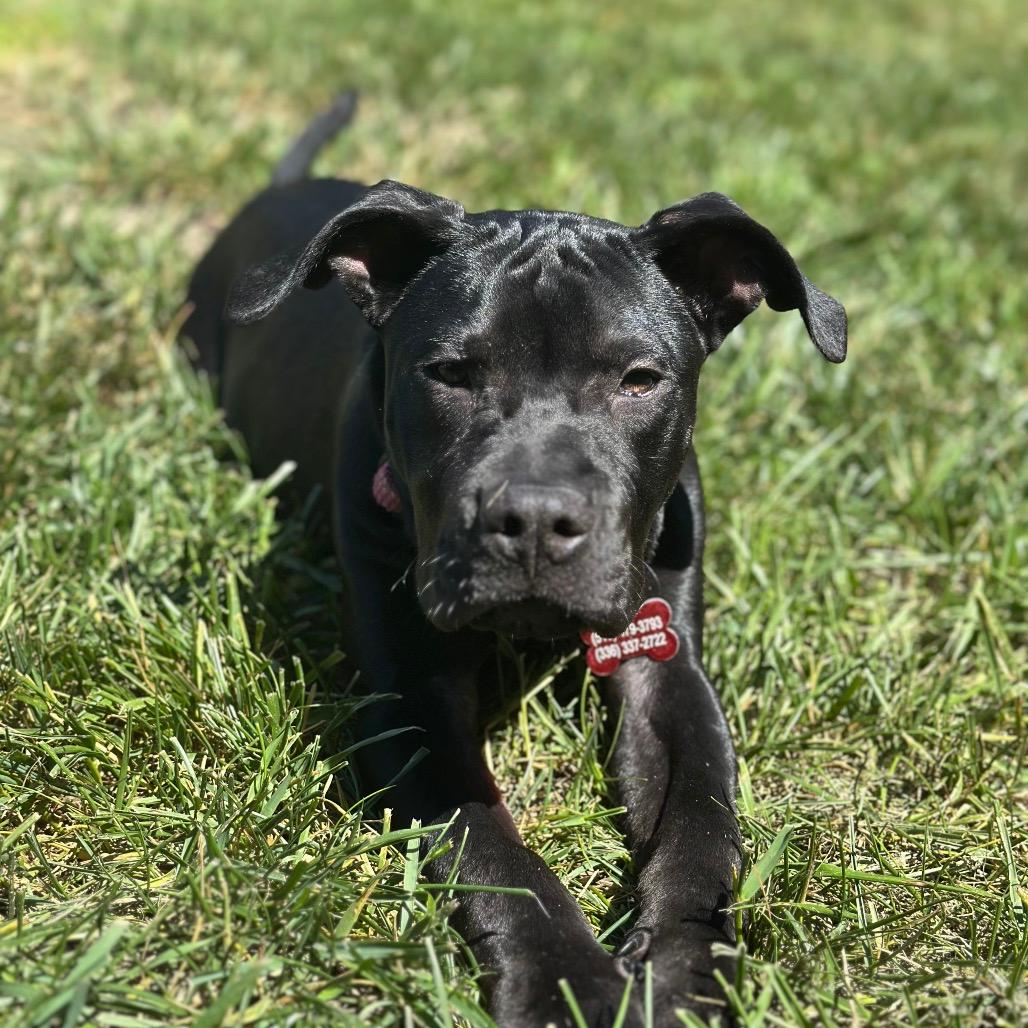 Roxy