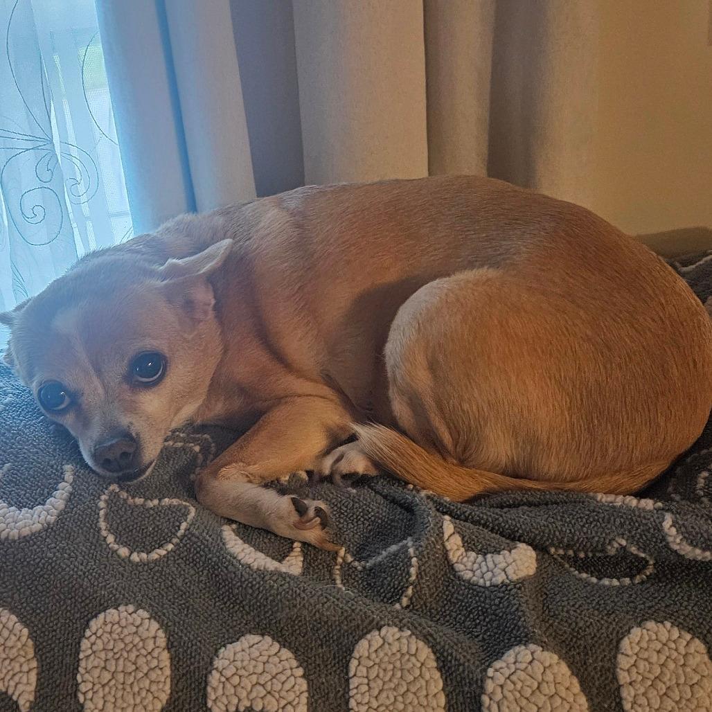 Penelope
