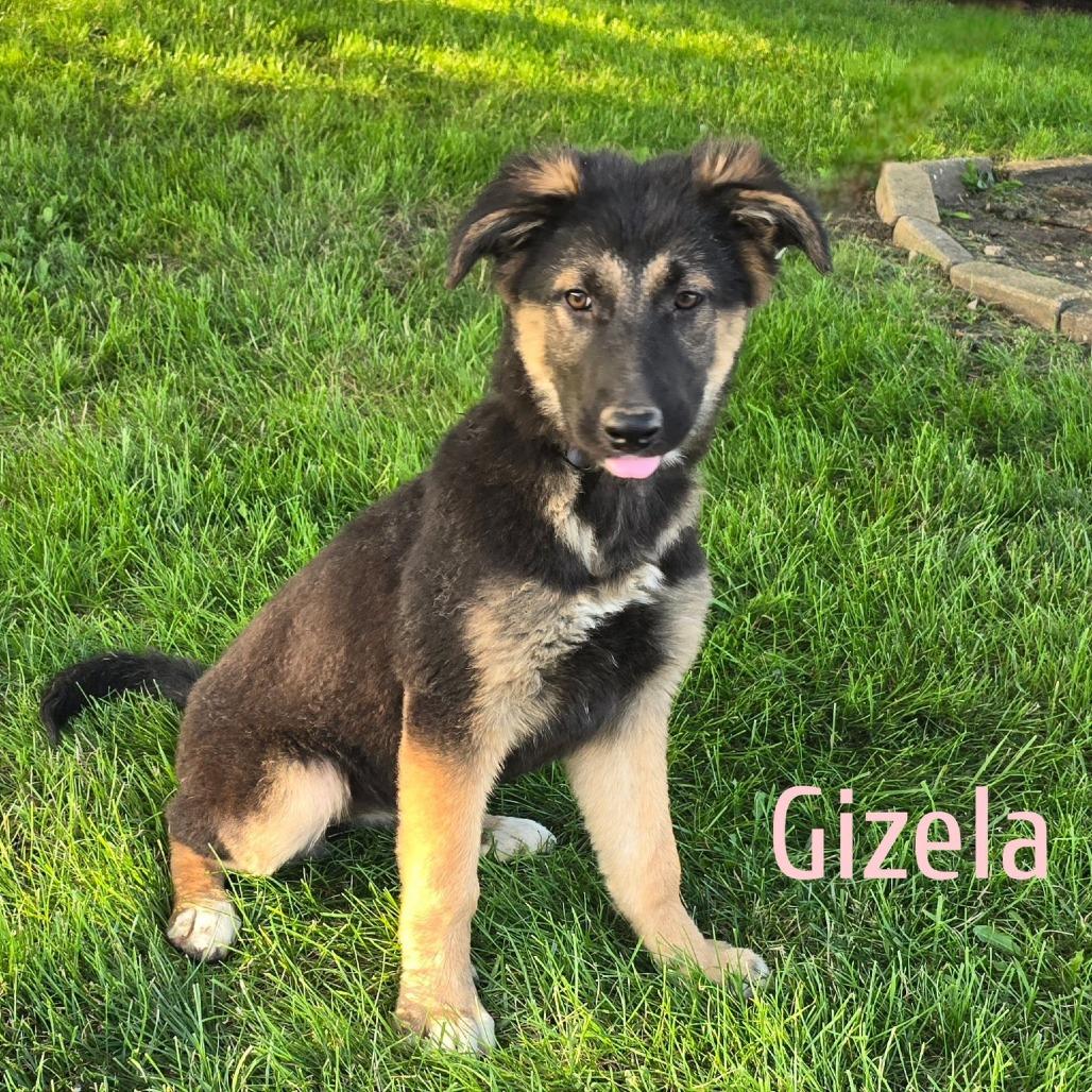 Gizela