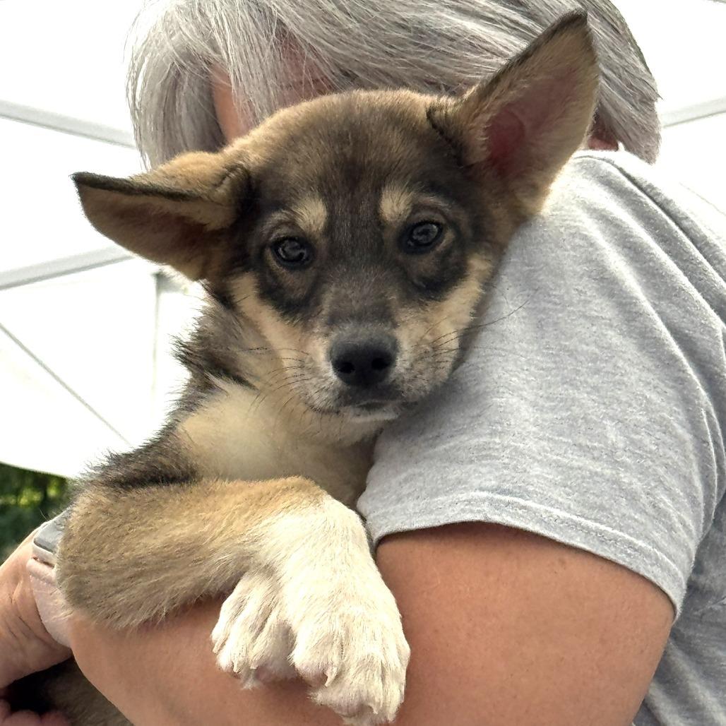NY Sierra Avail Sep 13 (Kent Community Day)