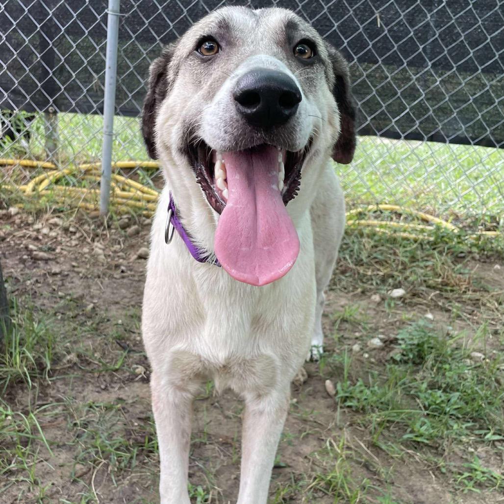 Kita