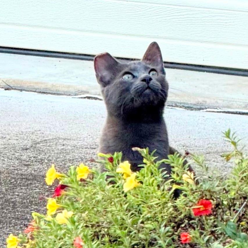 Luna
