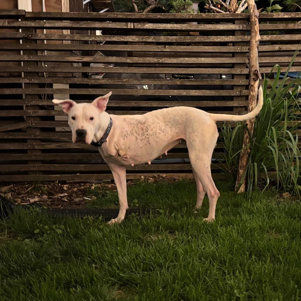 Evita