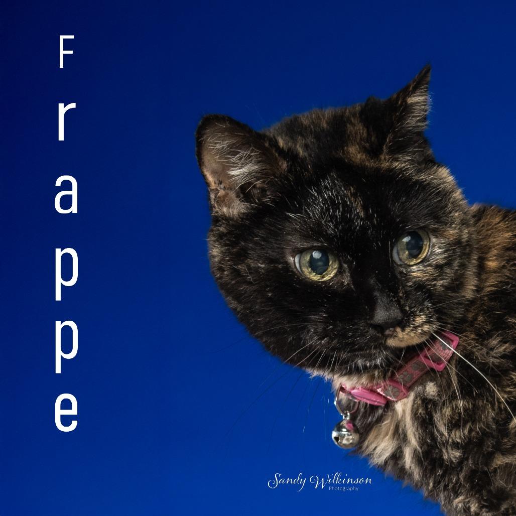 Frappe