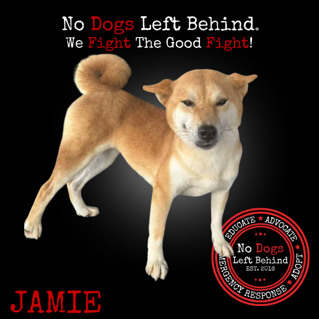 Jamie 4073
