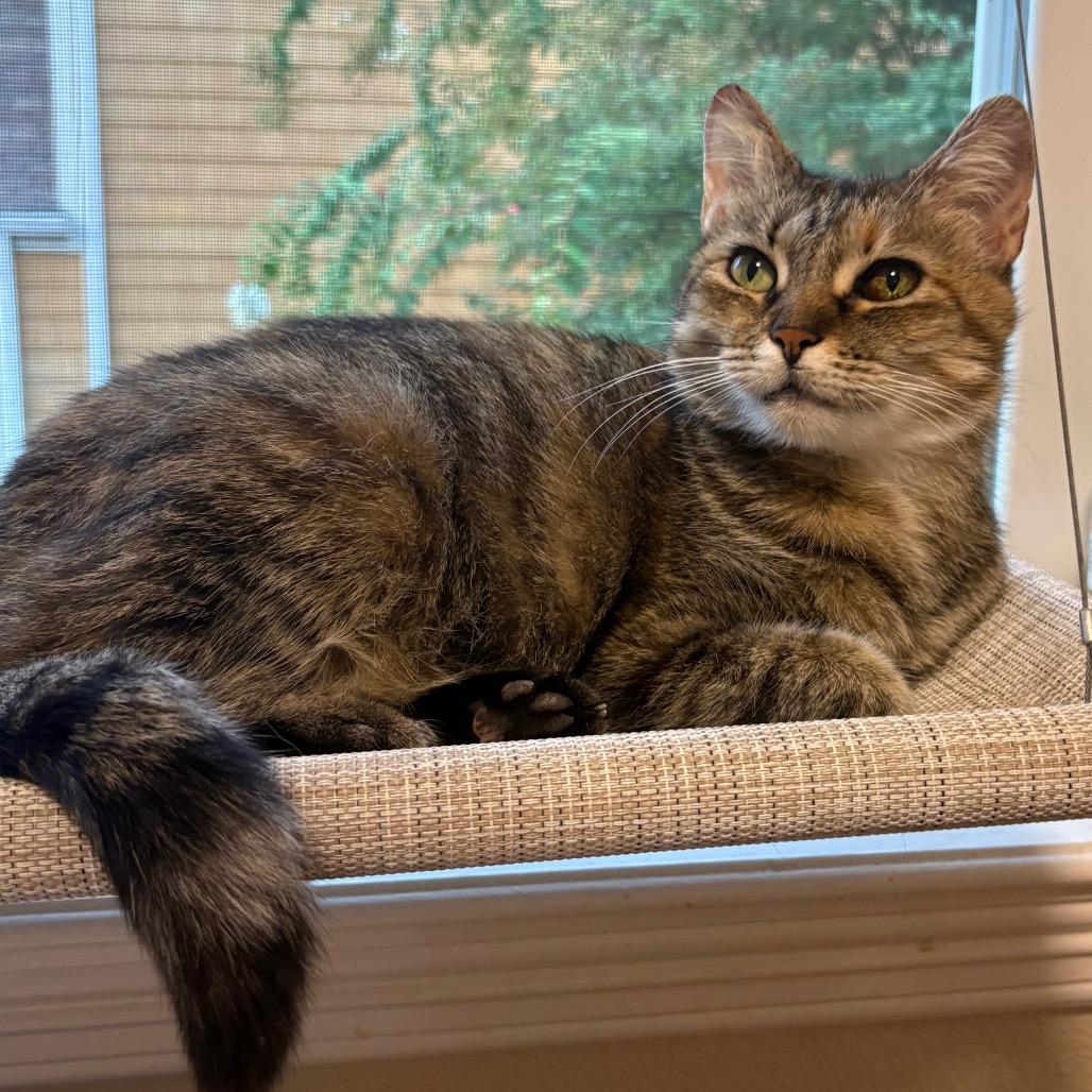 Kira