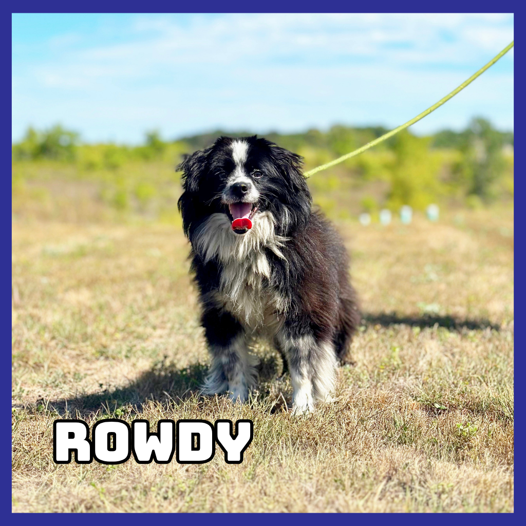 Rowdy