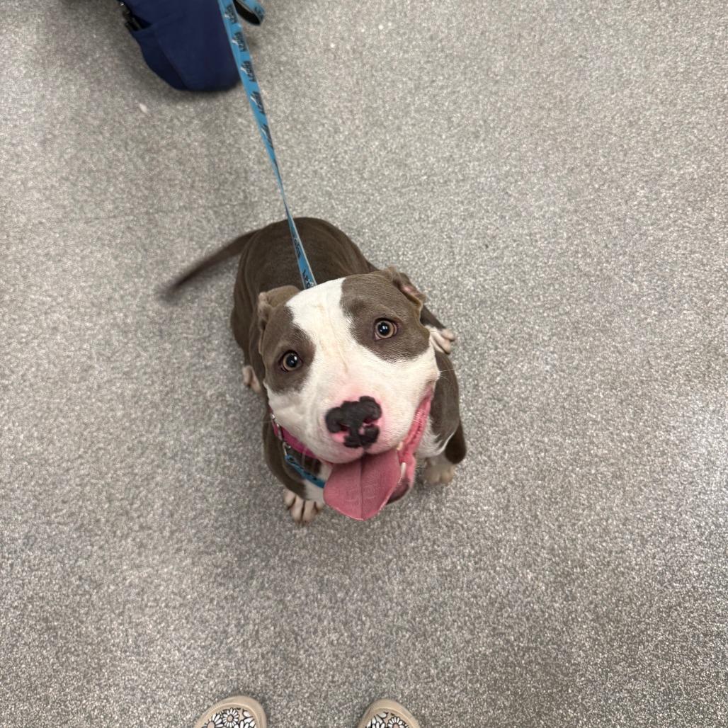 Ella 