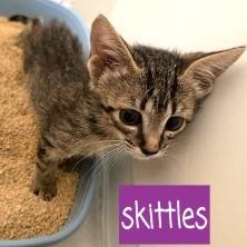 Skittles