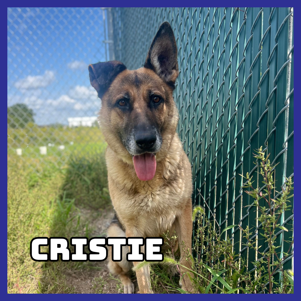 Cristie