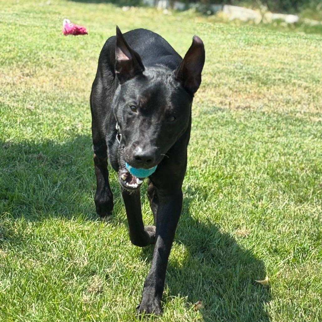 Tucker