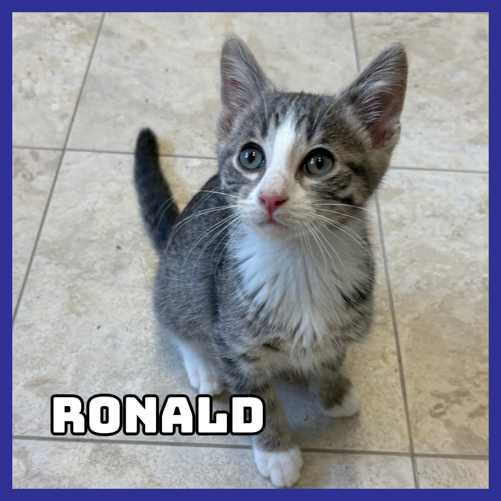 Ronald