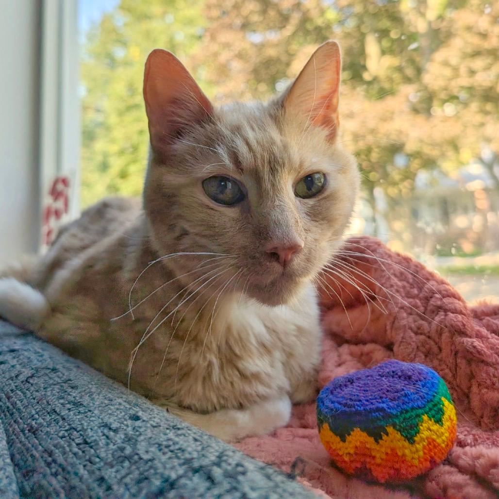 Thumper (Special Needs)