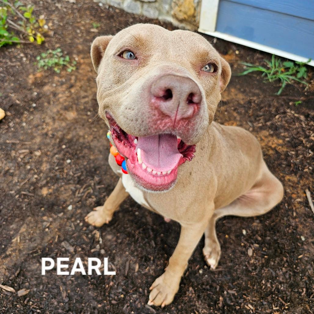 Pearl