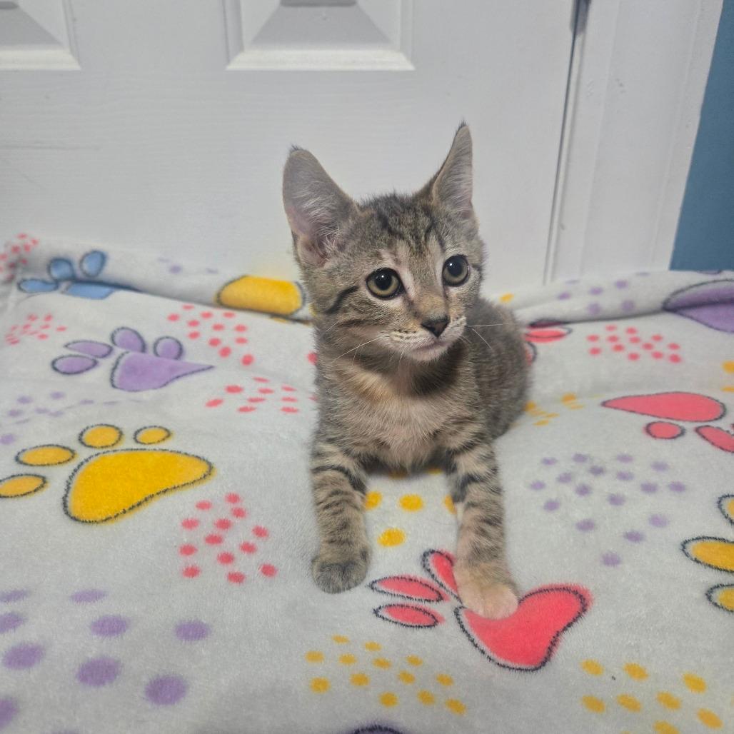 Chloe