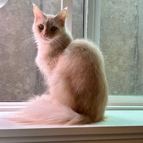 Esme