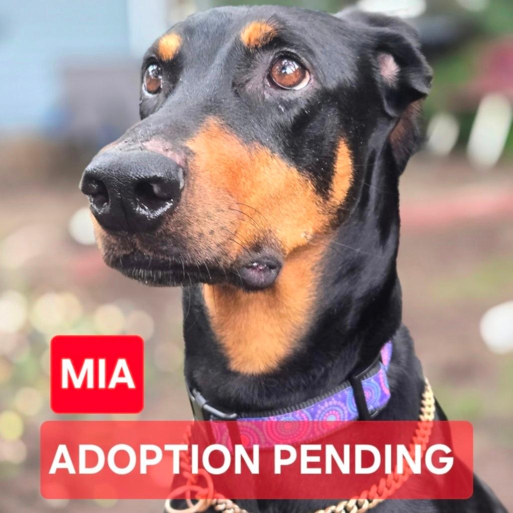 Mia 