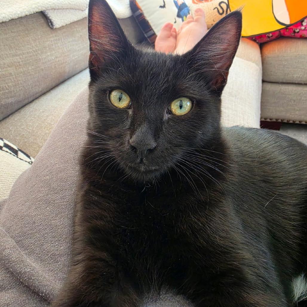 Cashew Crunch  (home adoption)
