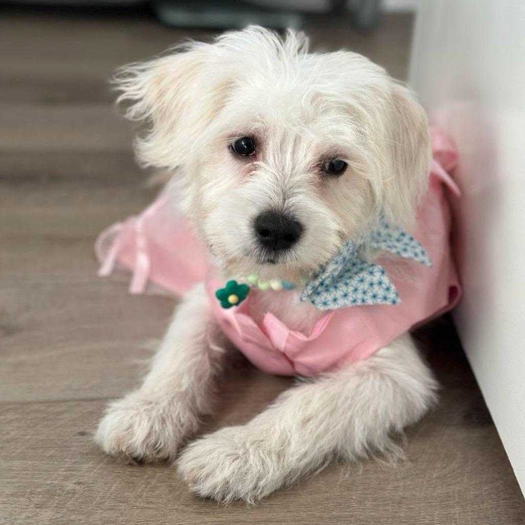 Chloe