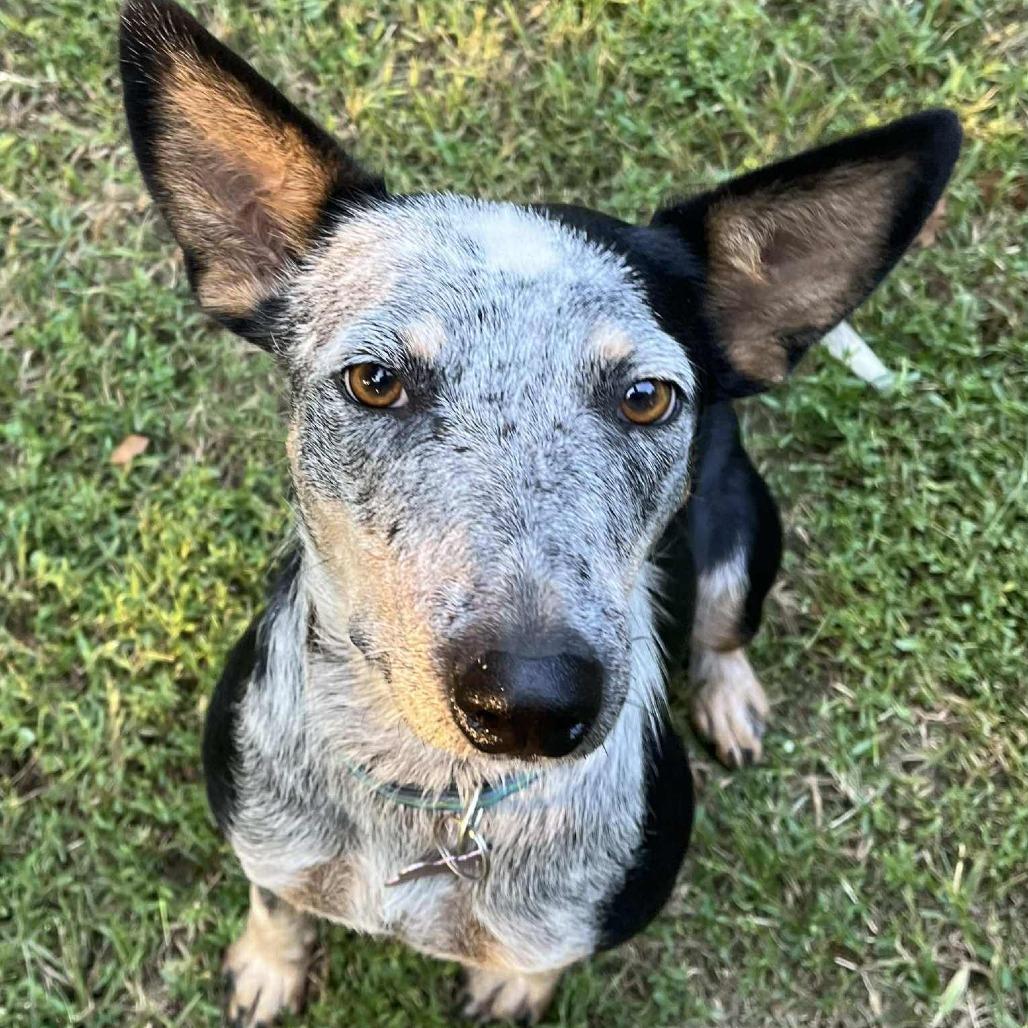 Ellie