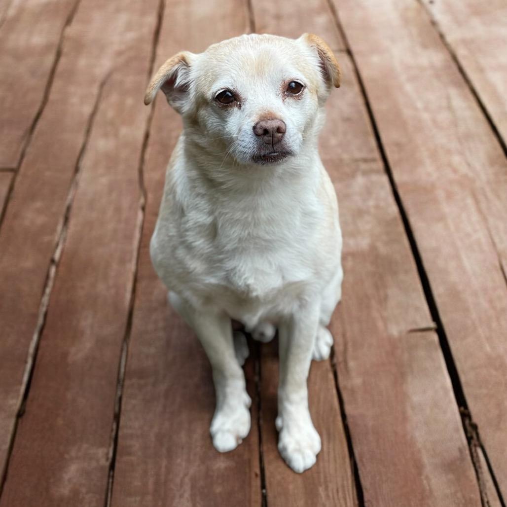 PACO