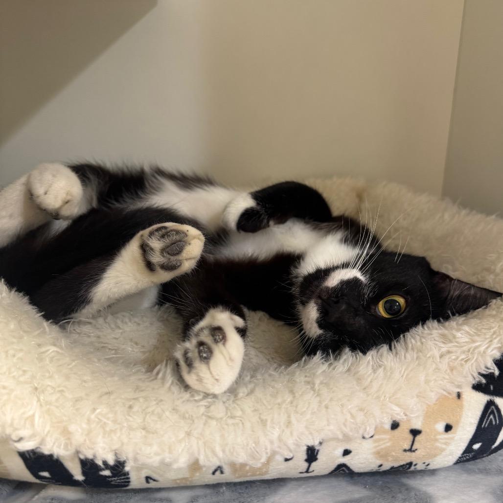 Tux