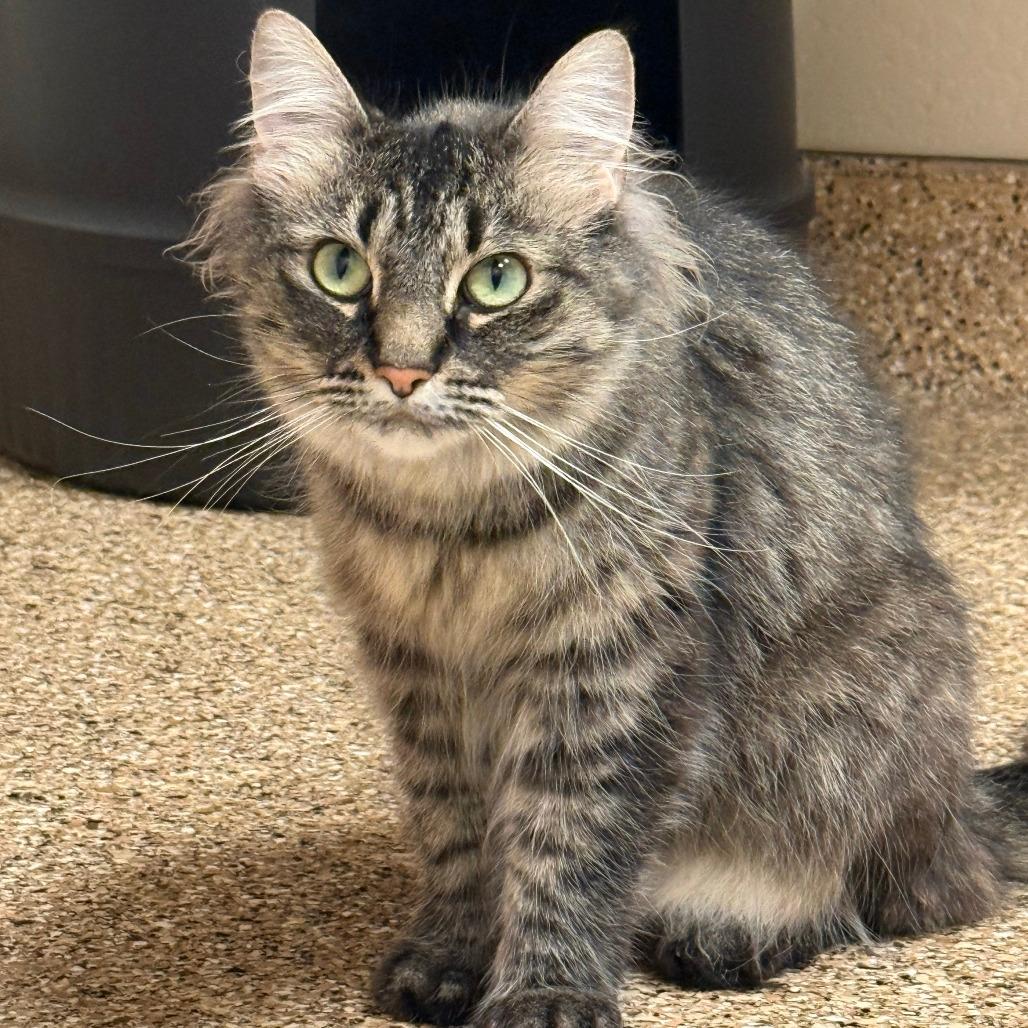 Pepper