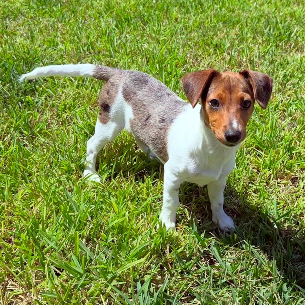 Lupita