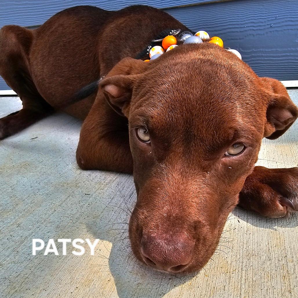Patsy