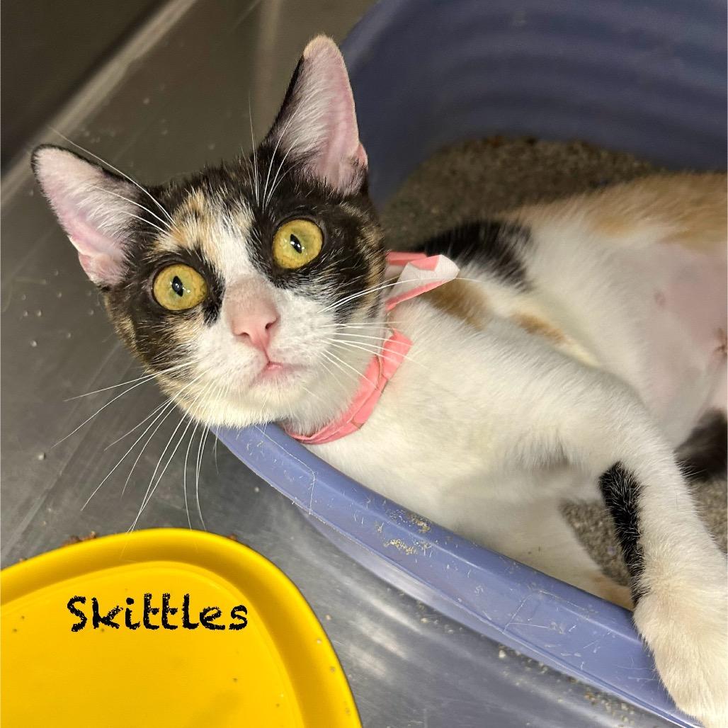 Skittles