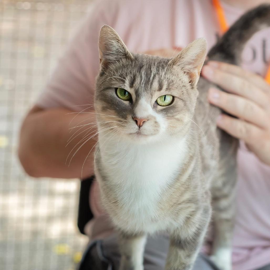 Grace - Reduced Adoption Fee