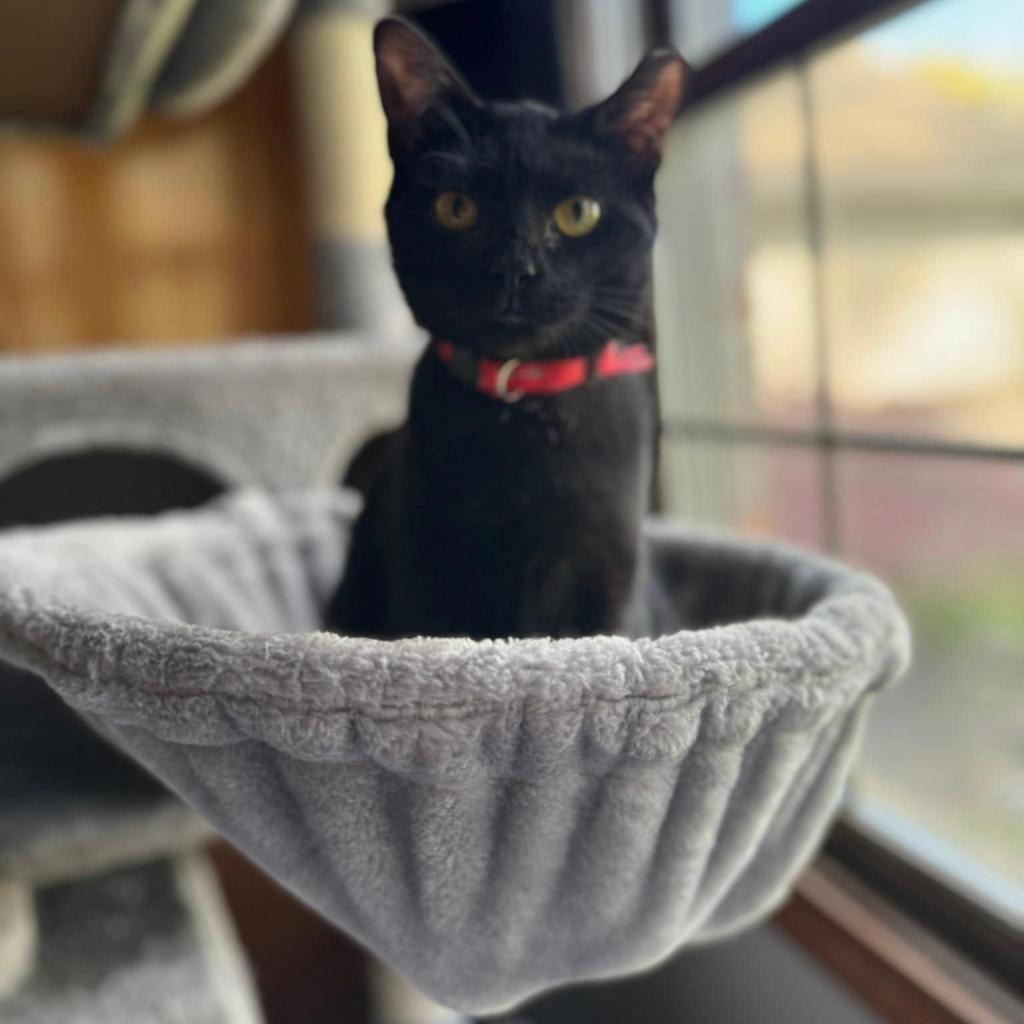 Lucy