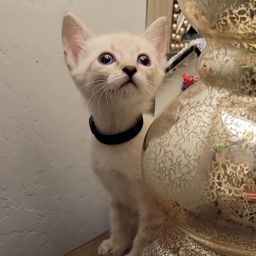 Yukon