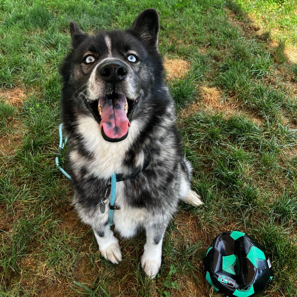 Jax 