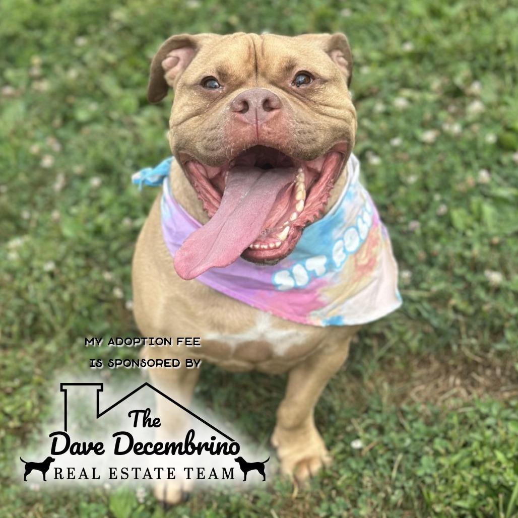 Chase - IN FOSTER
